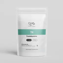 T4
